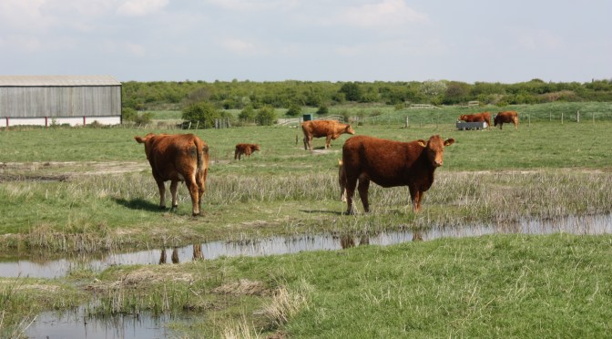 S2S Leg 2: Pitsea to Tilbury